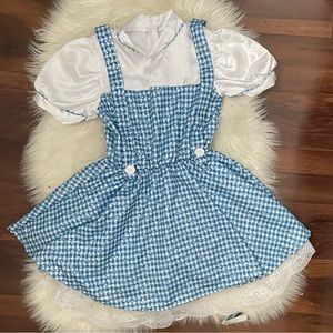 Wizard of Oz Dorothy Costume (M)